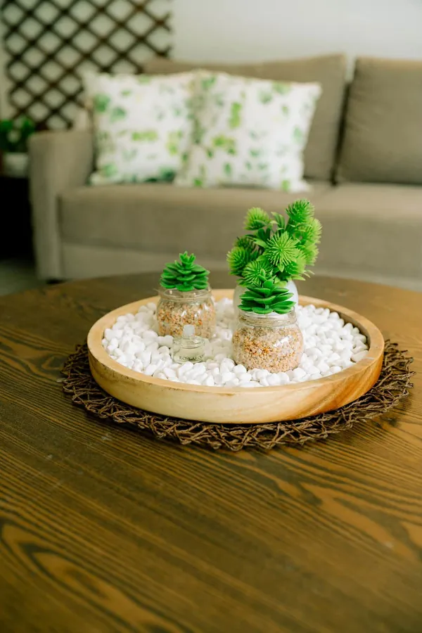 Table centrepiece of small plants on white stones